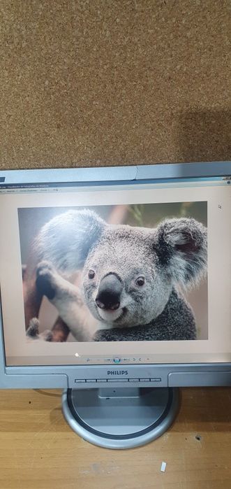Monitor philips 17 polegadas a funcionar64740796685058122