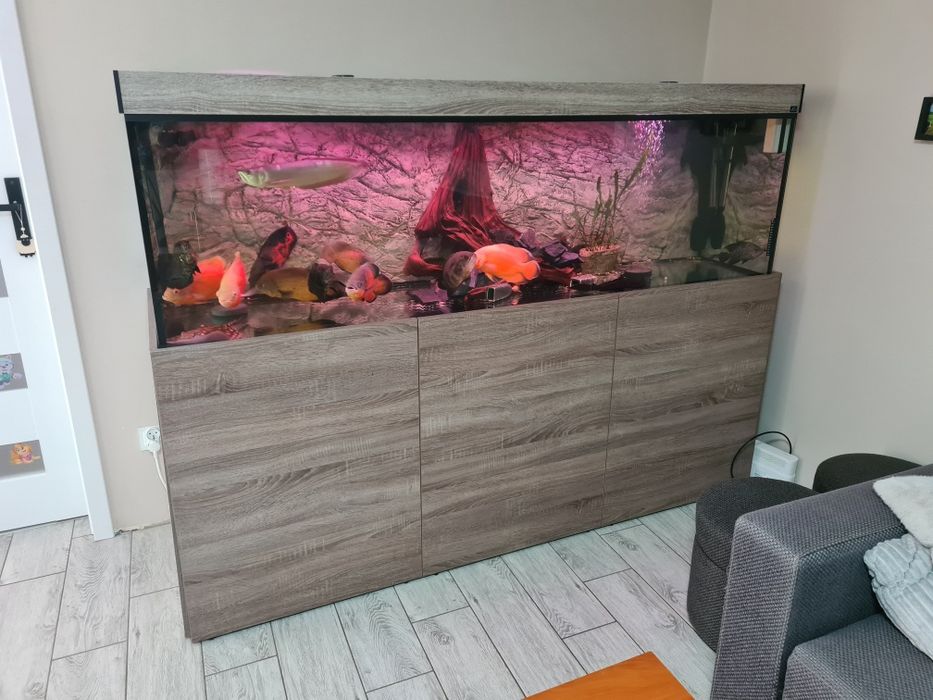 Akwarium ze stelażem 720l