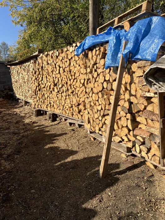 Drewno Drzewo opałowe sosna cięte łupane