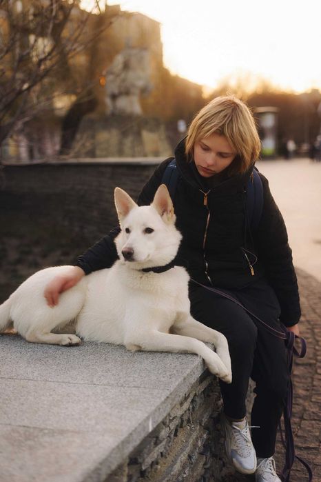 Вигул собак,Київ