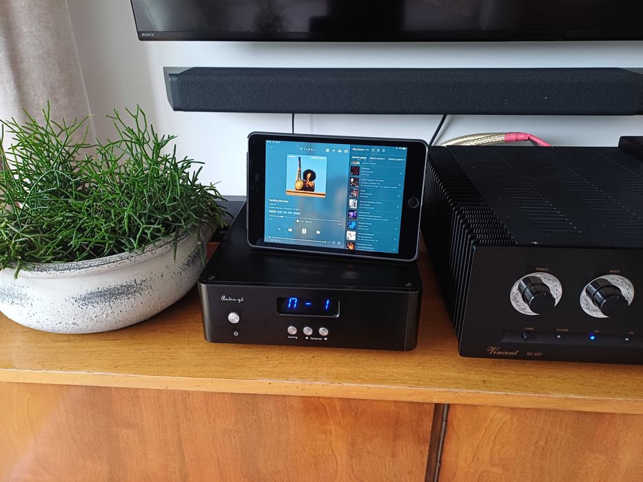 Auralic Aries Mini + zasilacz liniowy Auralic - DAC, Stereamer