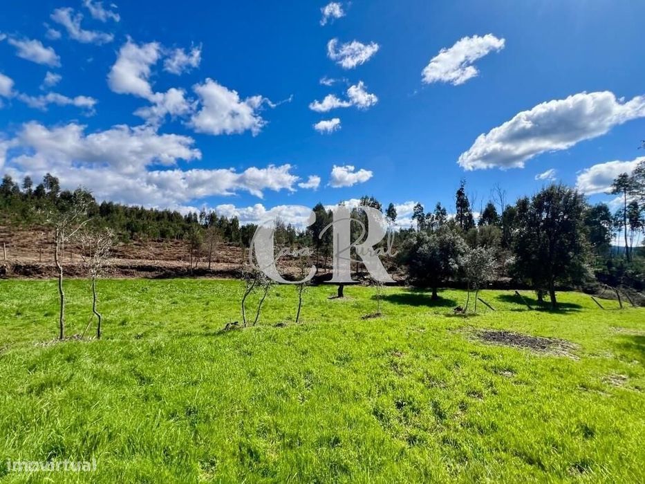 Imóvel rural com 1.8 ha, casa e poço