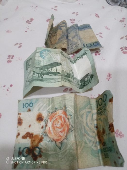 Moedas e notas escudos