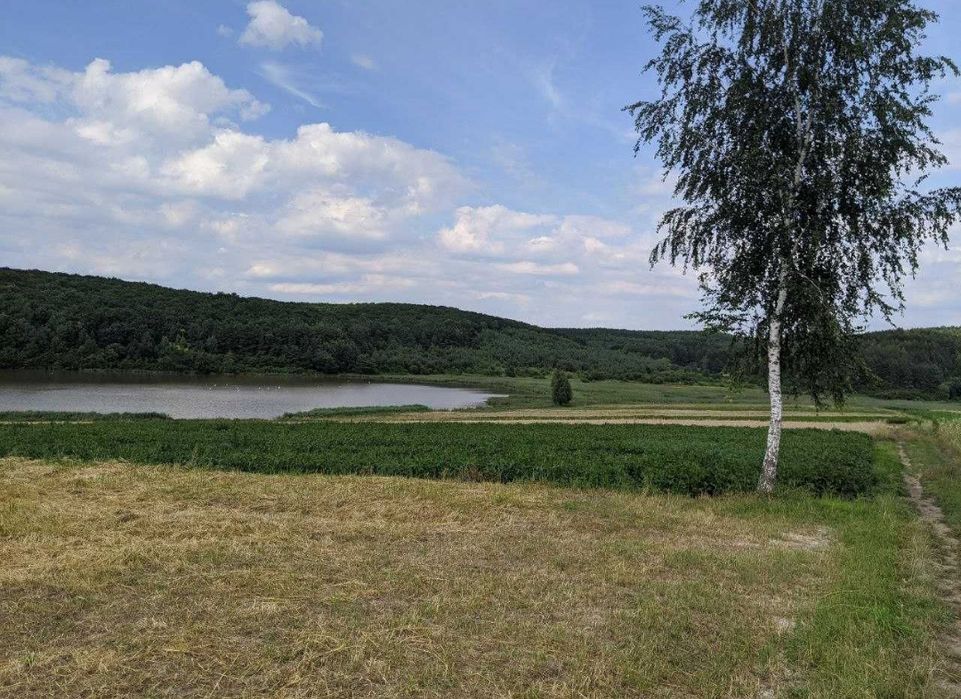 Продаж земелих ділянки під будівництво, с. Радів, Дубенський р-н

Пр