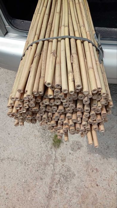 ⋙ Бамбукові опори, стовбури, для підв'язки рослин, помідор (є ОПТ)