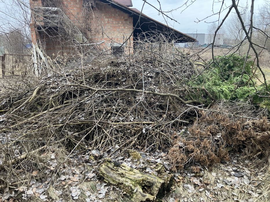 Gałęzie, drewno za darmo