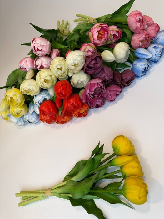 Латексні тюльпани