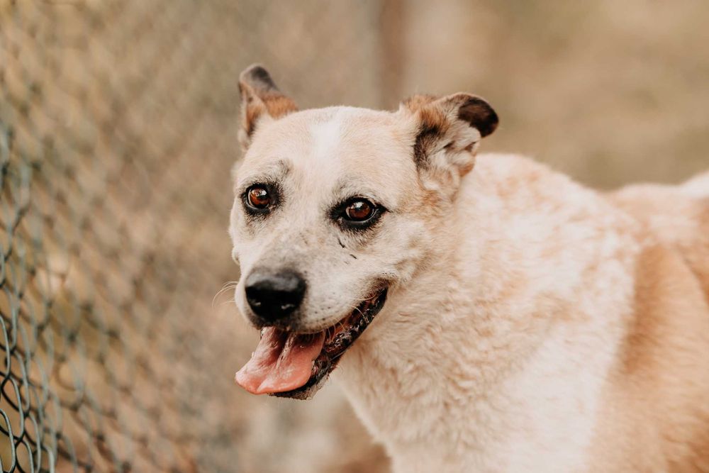 Podobno w moich oczach można się zakochać... - Bastek