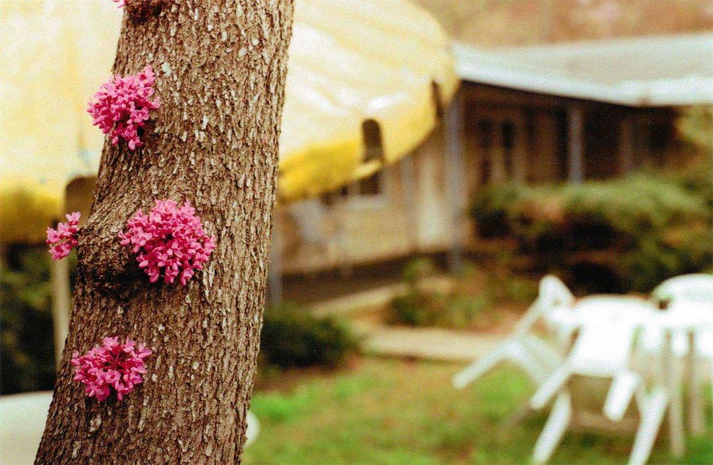 Камера Minolta Maxxum 3000i з обєктивом Minolta Maxxum AF 50mm f/1.7