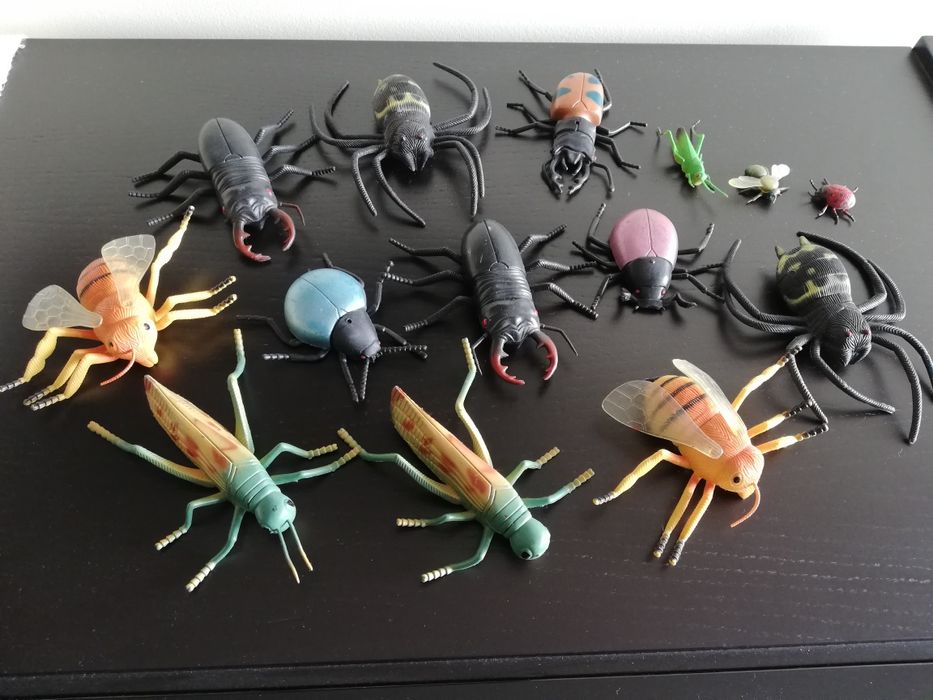 Animais do mar e insectos como novos64739000430722120