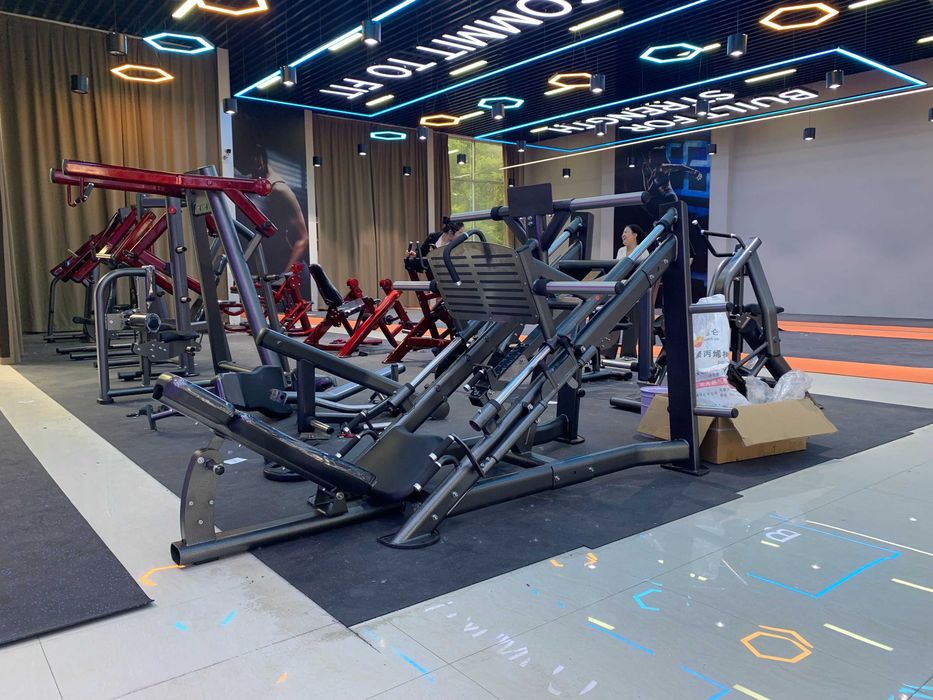 Suwnica Treningowa na Nogi Linear Leg Press