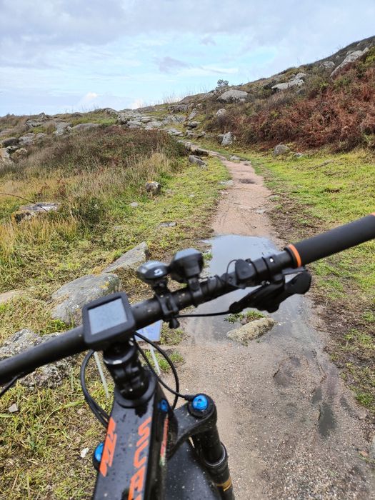 Ktm scarp one limited edition