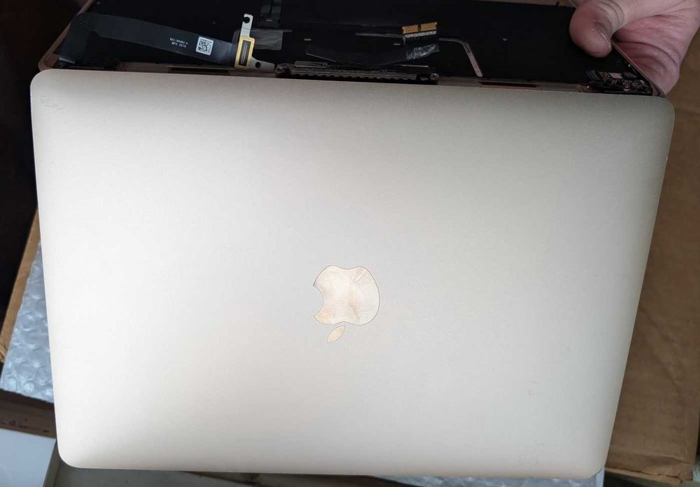 динамік Apple MacBook Retina 12 a1534 early 2016