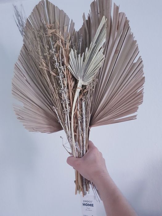 Nowe Suszone kwiaty dekoracja marki Pepco 4 sztuk