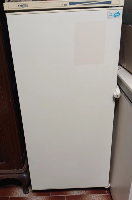 Frigorifico pequeno da Frisol