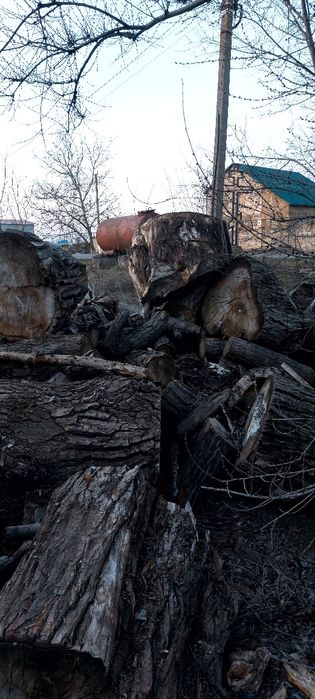 Дрова. Дрова фруктовые, шашлычные.Тополь, акація, абрикос