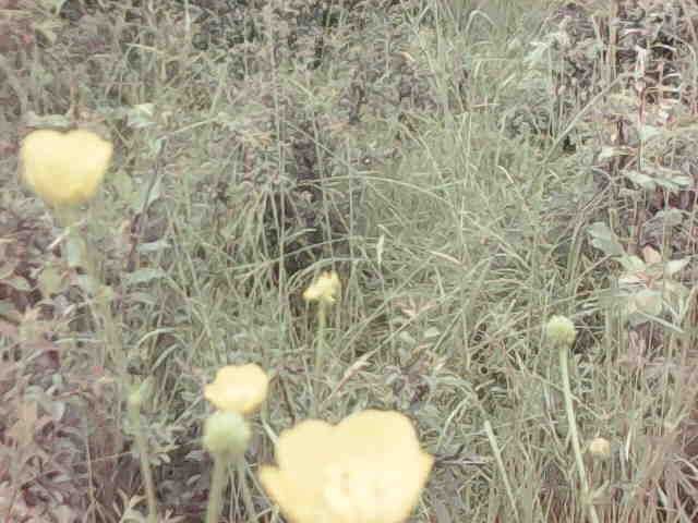 Камера мини видеонаблюдения Wi-Fi, мини IP камера.