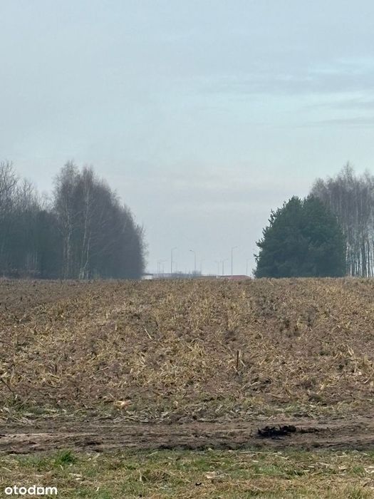Działka rolno - inwestycyjna  23100 m2  z możliwością zabudowy