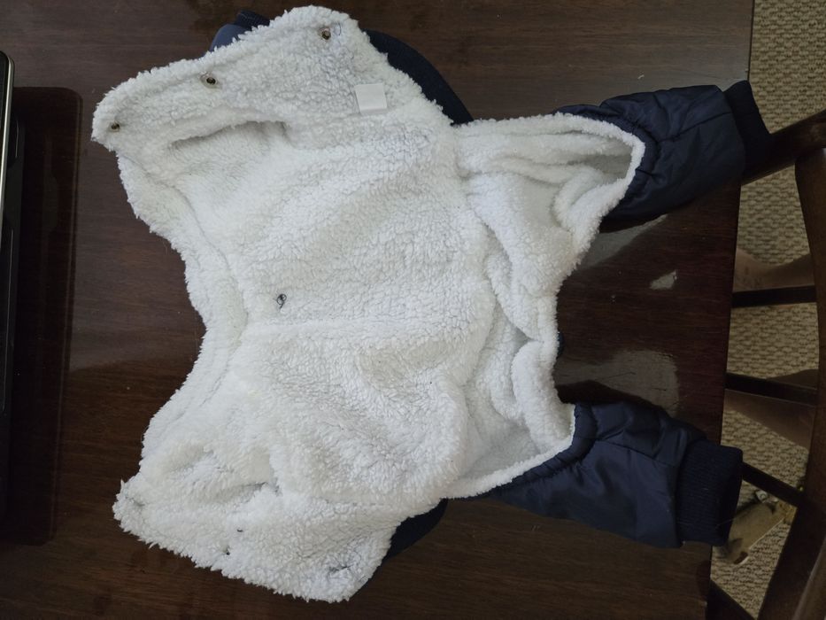 Комбинезон для собачки