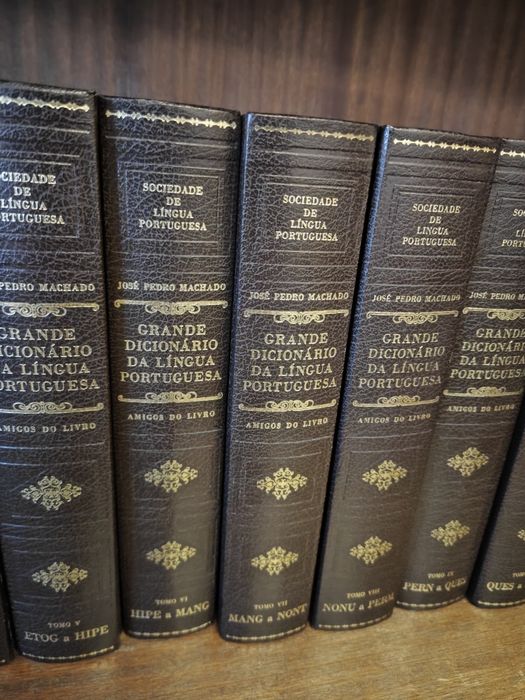 Grande Dicionário da Língua Portuguesa