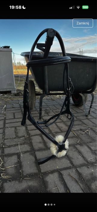 Ogłowie meksykańskie Dyon