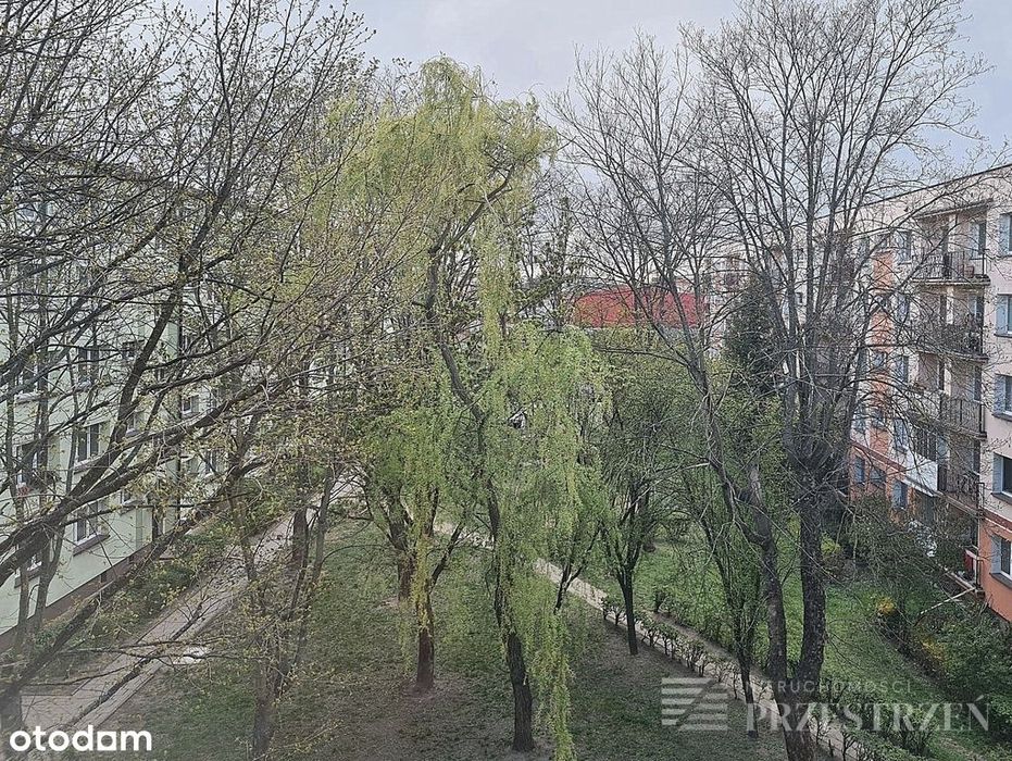 42m2, 2 pokoje, nowe instalacje, klima