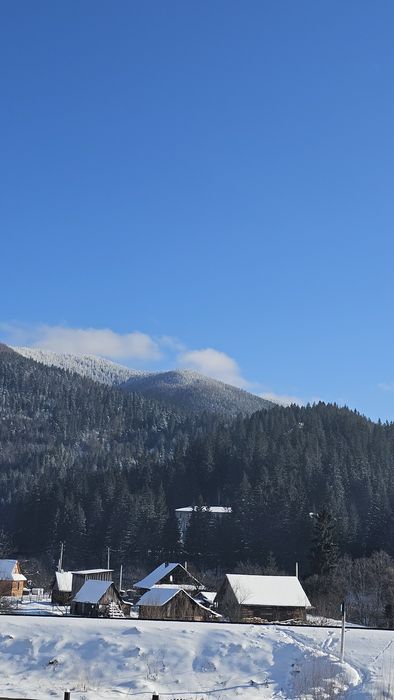 Відпочинок в Карпатах,Ворохта,котедж" Віадук"