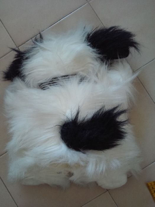 Cão peluche muito fofinho e peludo. Impecável. oferta de portes