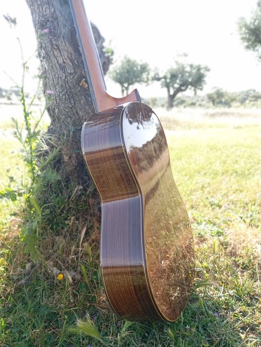 Manuel Rodriguez & Hijos Luthier Mod C