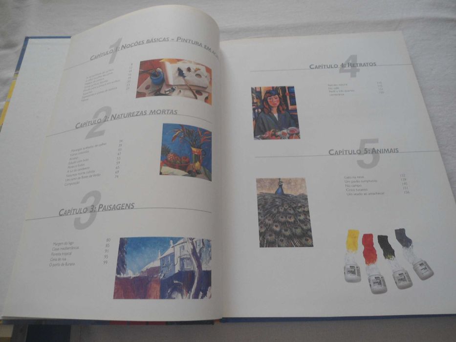 Pintura em acrílicos - As bases - As técnicas - Os Motivos