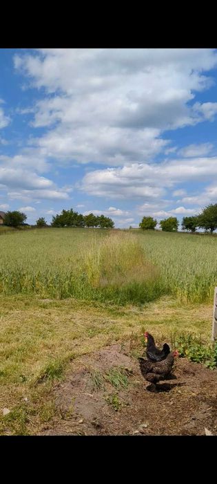 Продається добротна оселя в селищі Смолин. Львівської обл.