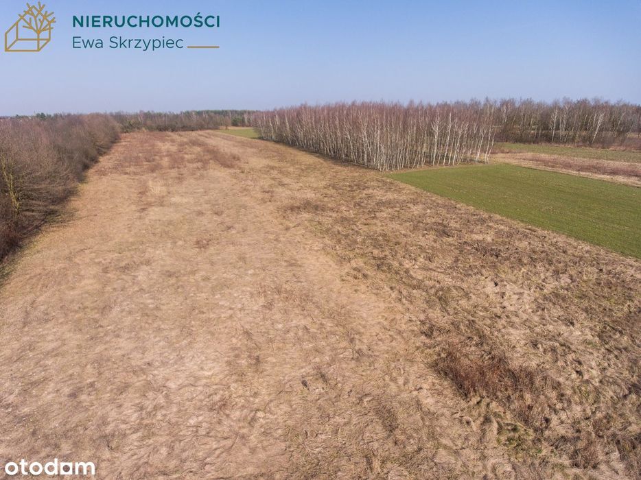 Na sprzedaż działki pod WZ w Tuszymie - przy drodze wojewódzkiej 986