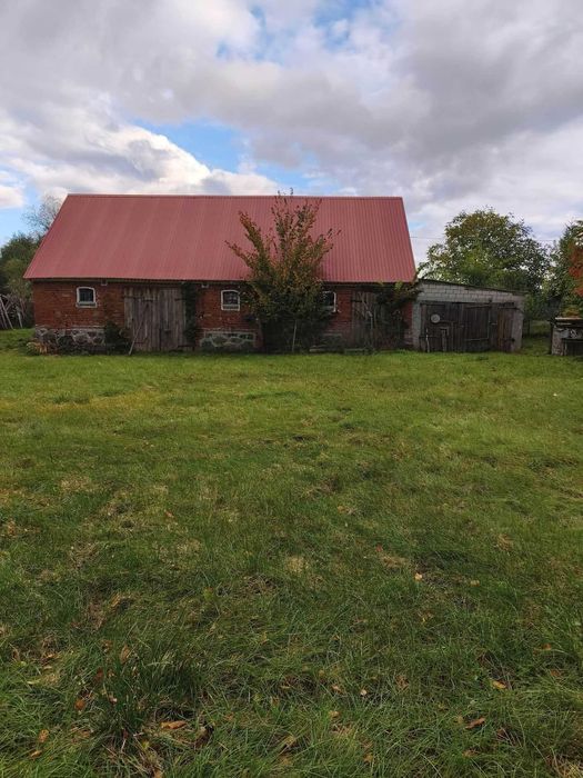 Sprzedam gospodarstwo rolne 23,6 ha z lasem i zabudowaniami – Ryszewko