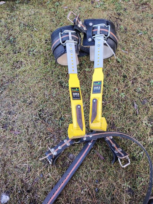 Drzewołazy stalowe  DR3