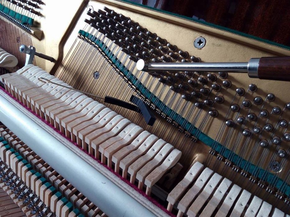 Fernando Leão Afinador de Pianos do Sul / Piano tuner in the Algarve