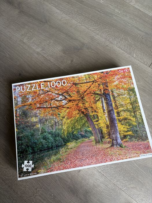 Пазли Tactic і Puzzleville на 1000 та 1500 штук,