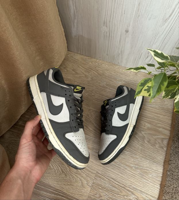 Кросівки nike dunk