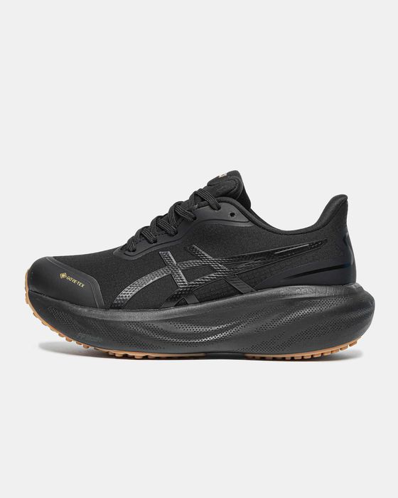 Кросівки Asics Air Gel-Kayano 30 Gore-Tex Black premium