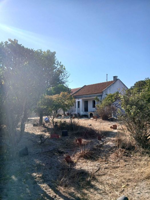 Terreno 2 hectares ótimo investimento!