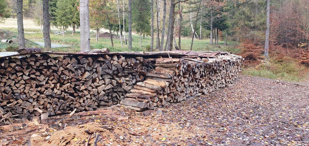 Sprzedam buka suchego