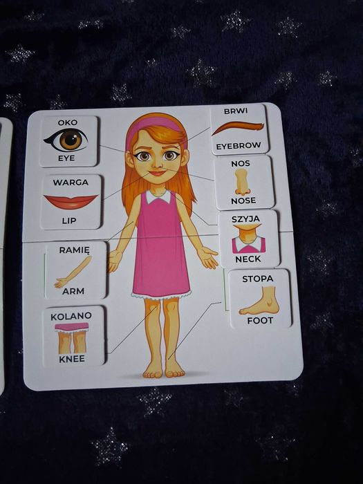 Układanka edukacyjna Body parts części ciała