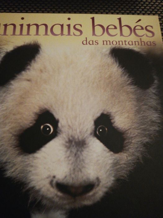 Colecção de livros "Animais bebés"