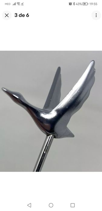 Palitos Grey goose frutas cocktails