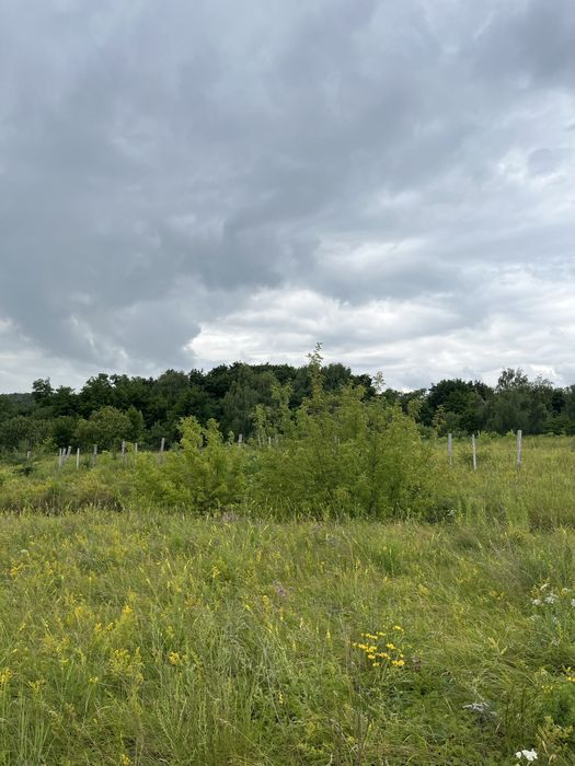 Ділянка з гарним видом під котеджну забудову