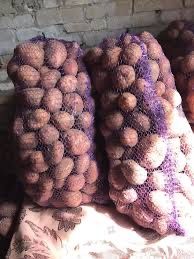 Картопля велика домашня сортова