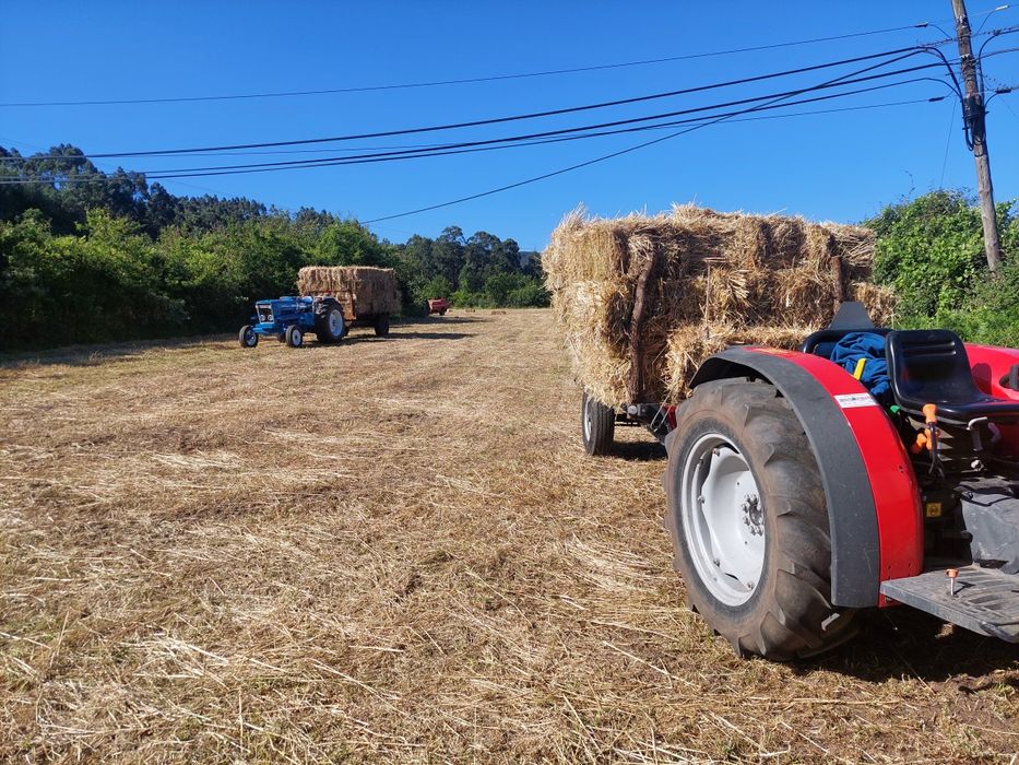 Fardos de feno 2025