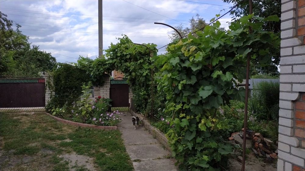 Терміново, в зв‘язку з виїздом, 10 км від міста