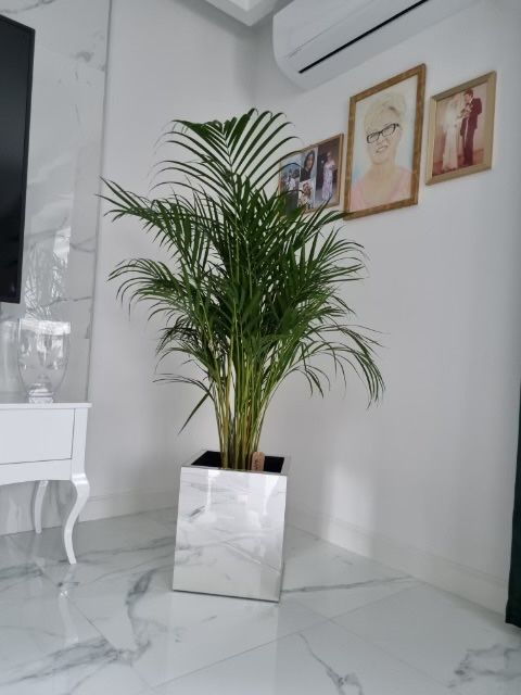 doniczka lustrzana glamour na wymiar cała Polska szkło labocel osłonka