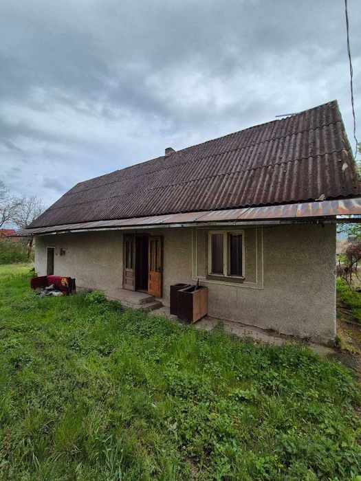 Продаються два будинки на просторій ділянці 25 соток в с. Бедевля