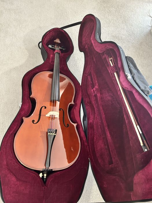 Violoncelo como novo (capa dura) - Ler descricão